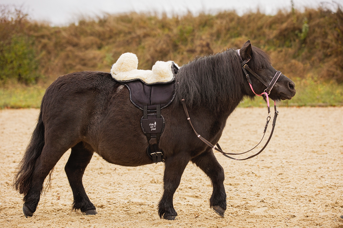 Barefoot Ponysattel 11
